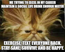 Meme
