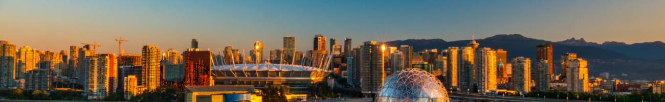 1300x200 banner