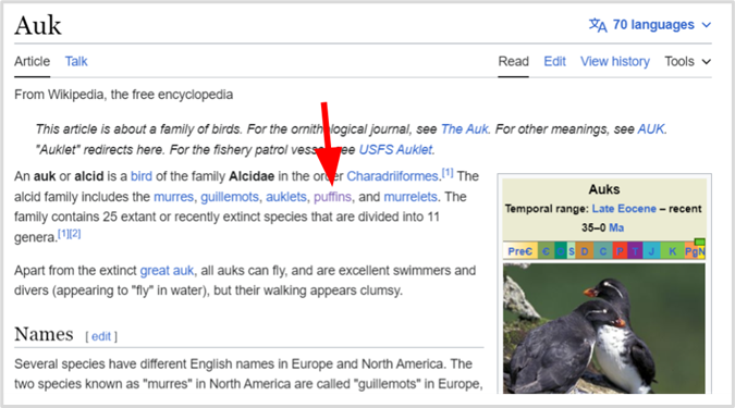 Wikipedia page on Auks.