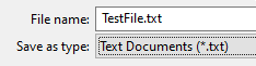 File Save as Name Field