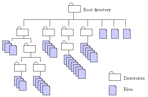 File Tree