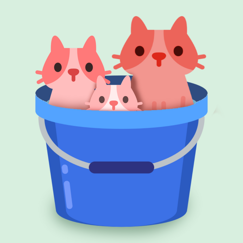 bucket of red cats