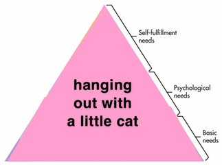 Hierarchy of needs meme